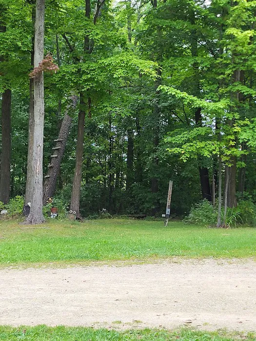 Shady Acres Campsites Picture 2