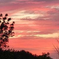 Shady Acres Campsites ico
