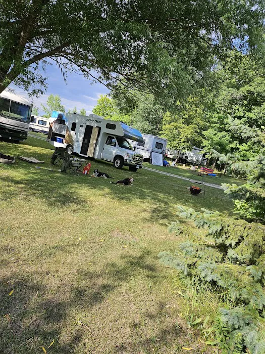 Shady Acres Campsites Picture 3