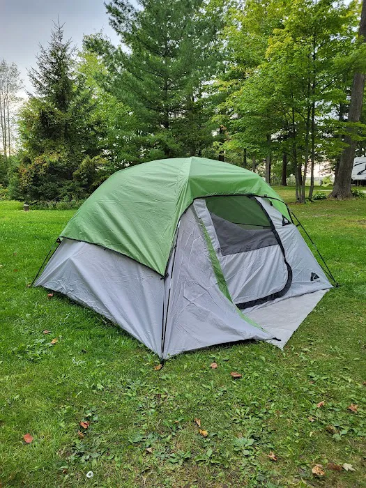 Shady Acres Campsites Picture 8