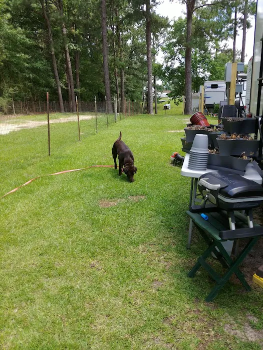 Eagle Nest RV Park Picture 7