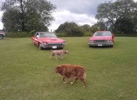 Iola Car Show Campgrounds