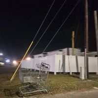 MCN Trailer Park LLC ico