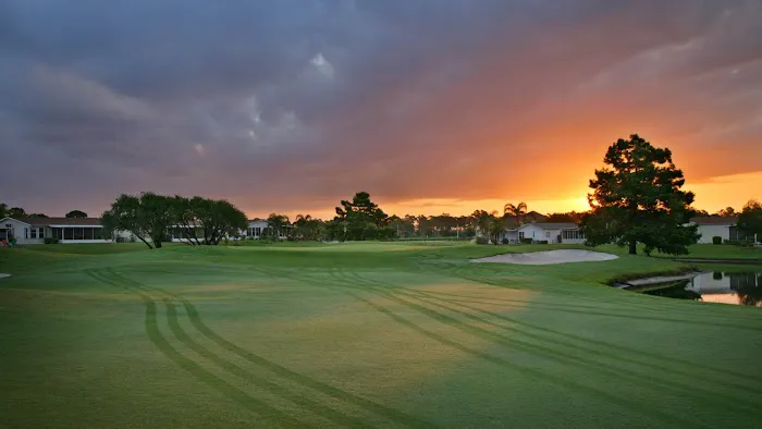 Savanna Club Picture 7