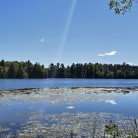 Jordan County Park Campground ico