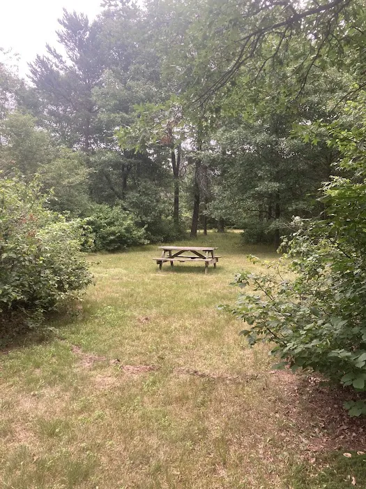 Moonlite Trails Campground Llc Picture 6