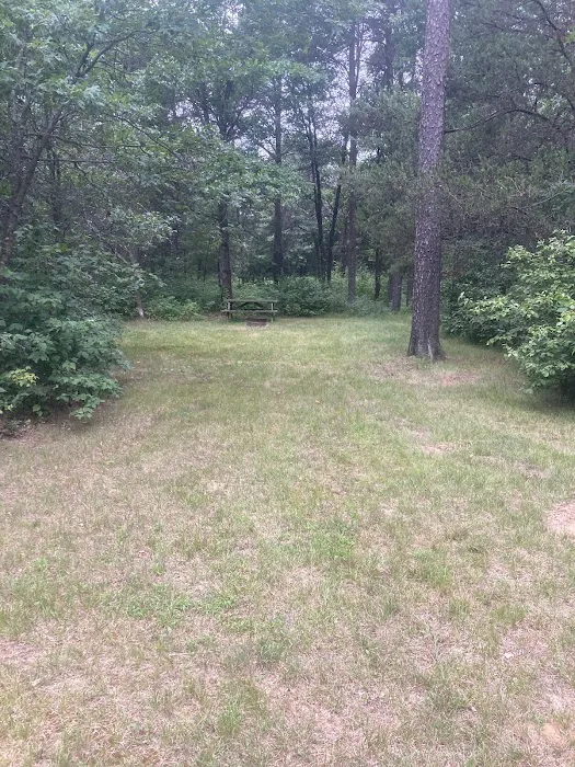 Moonlite Trails Campground Llc Picture 5