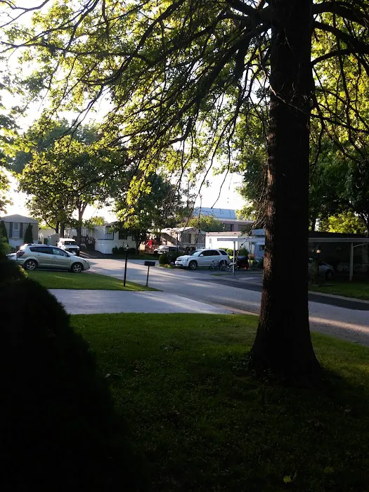 Eldorado Estates Mobile Home Picture 6