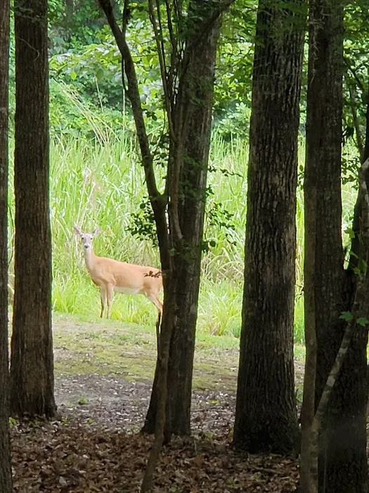 Bluff Creek Park Picture 4