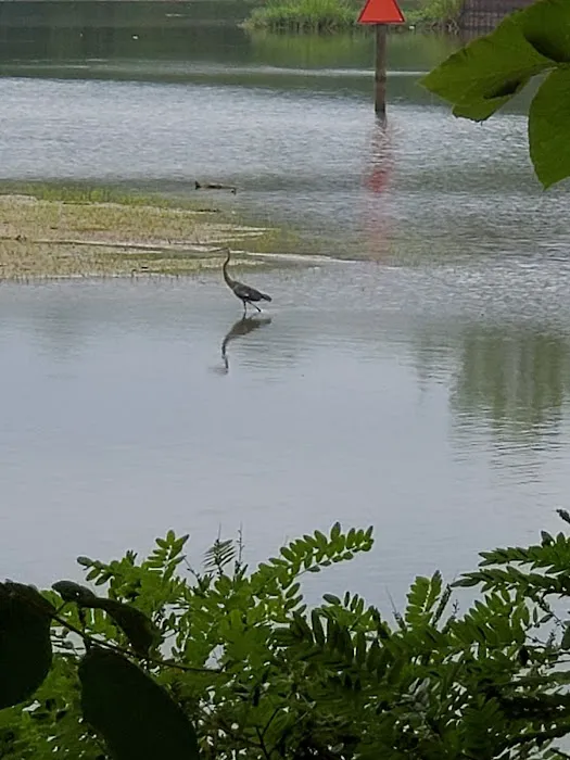 Bluff Creek Park Picture 3