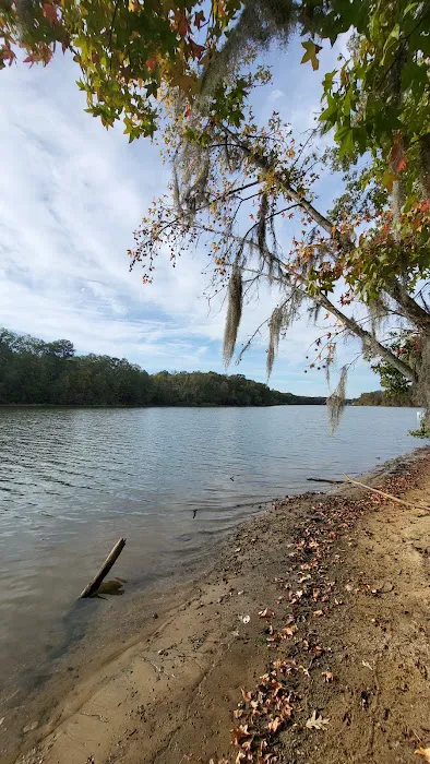 Bluff Creek Park Picture 10