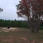Hidden Springs Campground