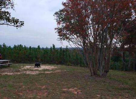 Hidden Springs Campground