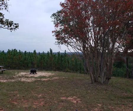 Hidden Springs Campground