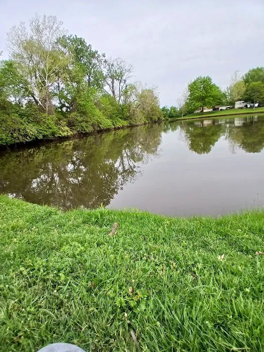 The Willows Picture 1