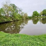 The Willows