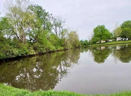 The Willows