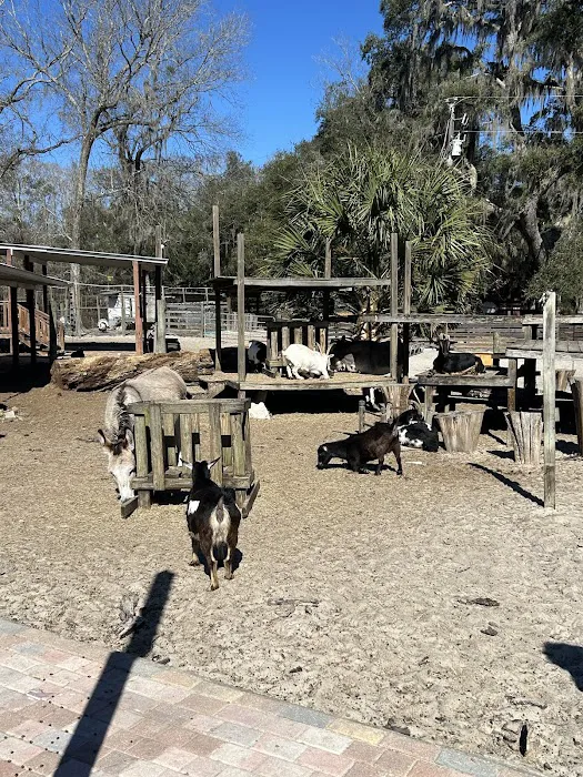 Lucky U Ranch Picture 1