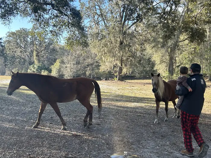 Lucky U Ranch Picture 9