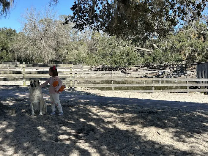 Lucky U Ranch Picture 6