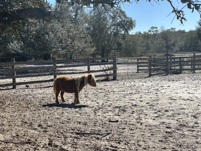 Lucky U Ranch Picture 7