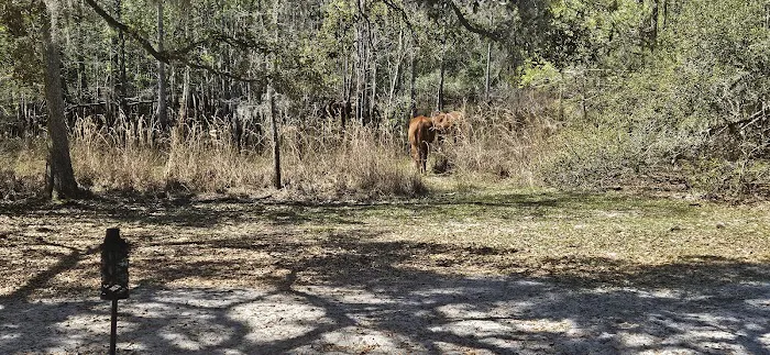 Lucky U Ranch Picture 8
