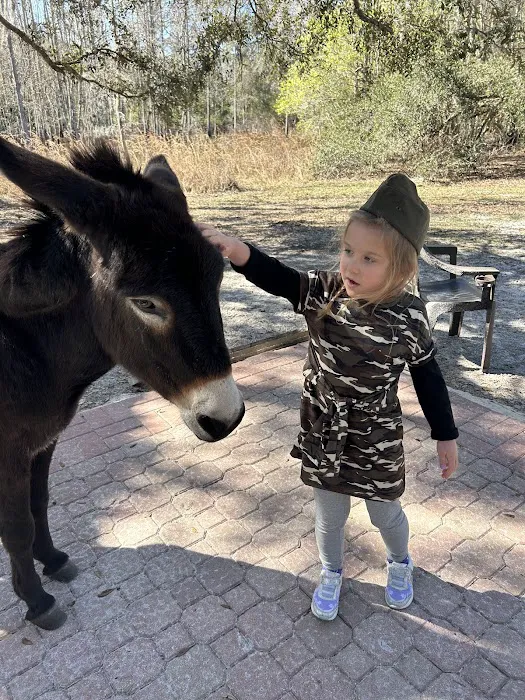 Lucky U Ranch Picture 3