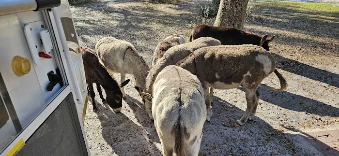 Lucky U Ranch Picture 2