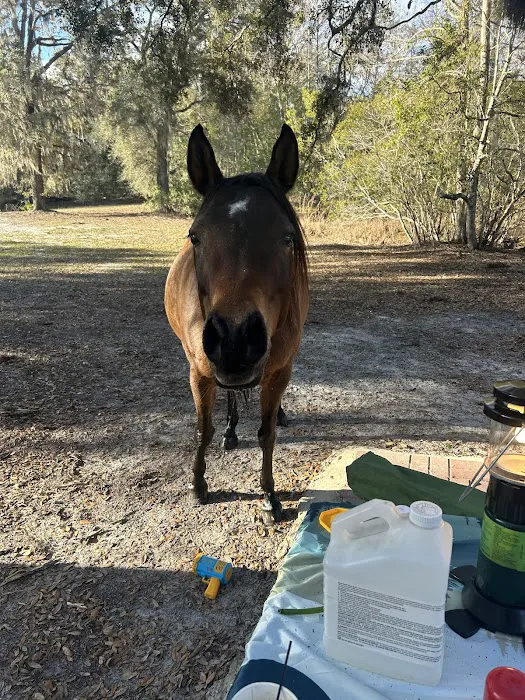 Lucky U Ranch Picture 4