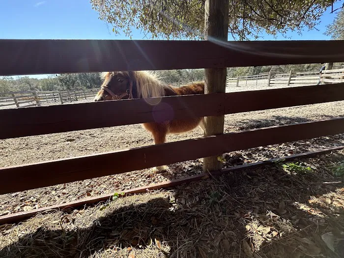 Lucky U Ranch Picture 10