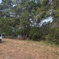 Roper Island Central Florida council BSA ico