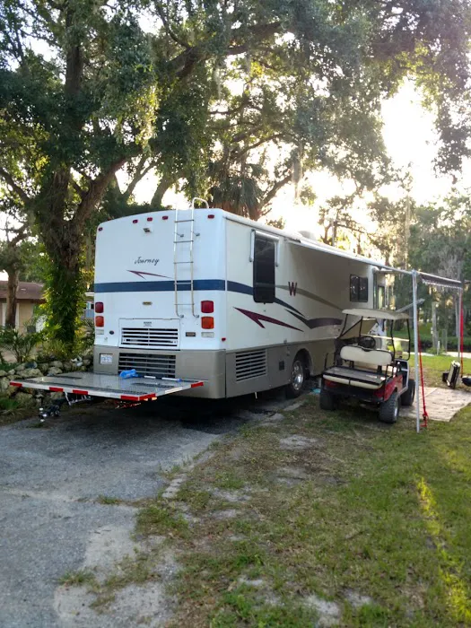 Ozello Keys Fish Camp Picture 7
