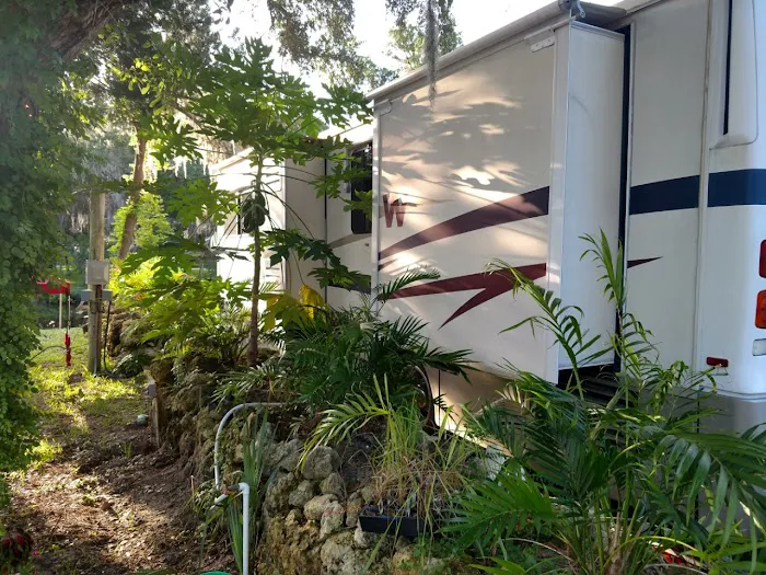 Ozello Keys Fish Camp Picture 2