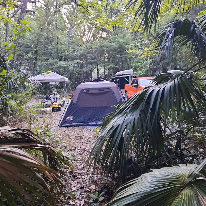 Chassahowitzka River Campground Picture 9