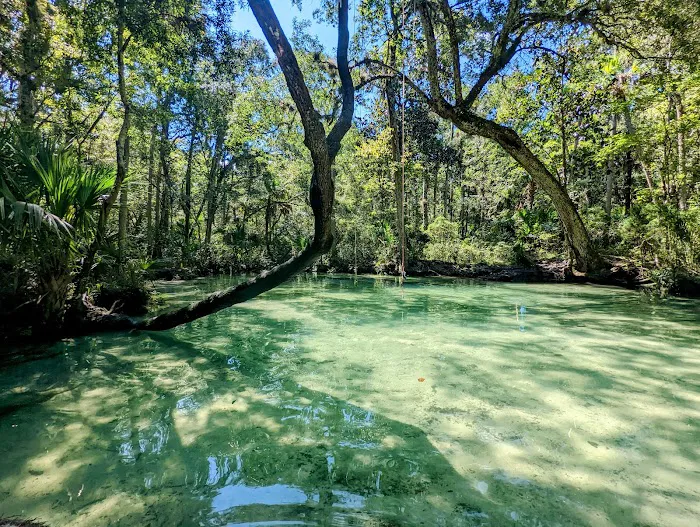 Chassahowitzka River Campground Picture 8