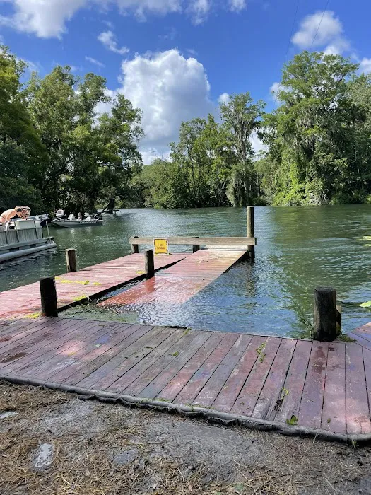 Chassahowitzka River Campground Picture 4