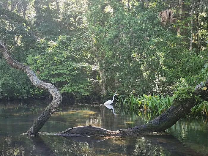 Chassahowitzka River Campground Picture 6