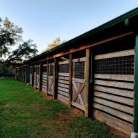 Tillis Hill Recreation Area ico