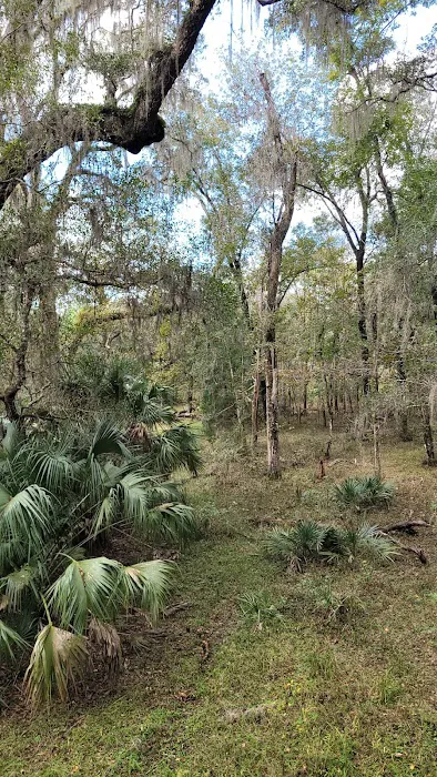 Tillis Hill Recreation Area Picture 8