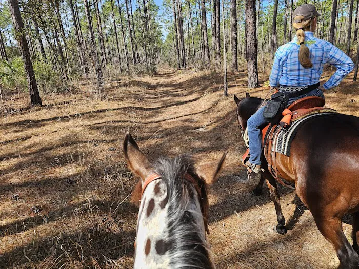 Tillis Hill Recreation Area Picture 6