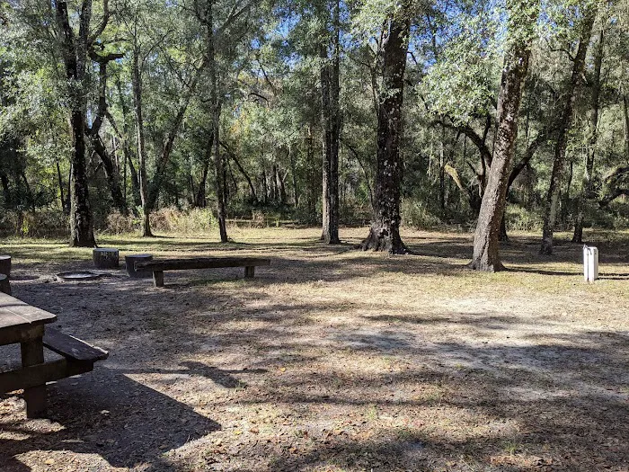 Hog Island Recreation Area, Campground & Kayak Launch Picture 1