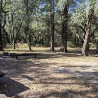 Hog Island Recreation Area, Campground & Kayak Launch ico