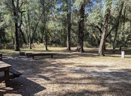 Hog Island Recreation Area, Campground & Kayak Launch