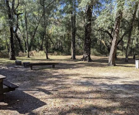 Hog Island Recreation Area, Campground & Kayak Launch