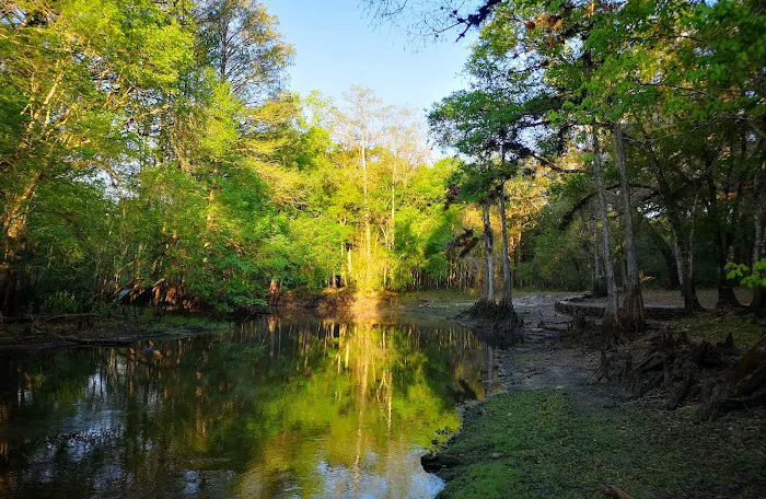 Hog Island Recreation Area, Campground & Kayak Launch Picture 9