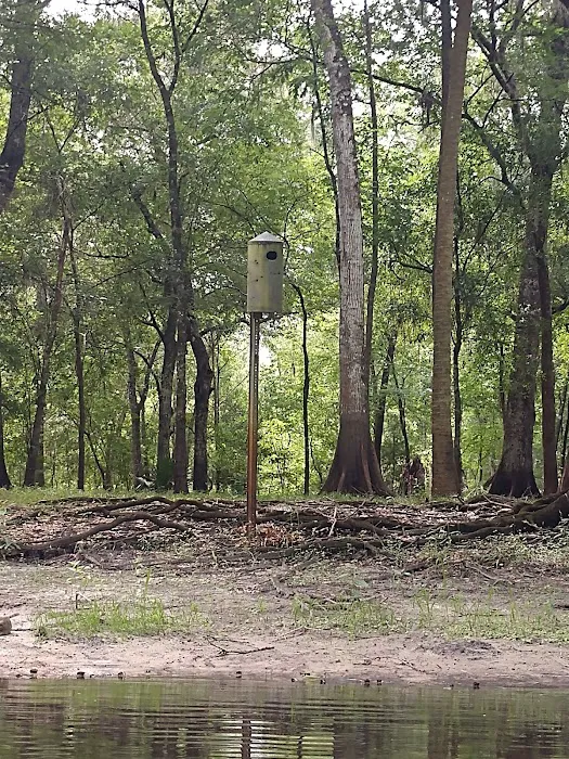 Hog Island Recreation Area, Campground & Kayak Launch Picture 4