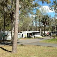 Clover Leaf Forest RV Resort ico