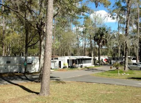 Clover Leaf Forest RV Resort