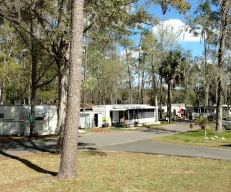 Clover Leaf Forest RV Resort
