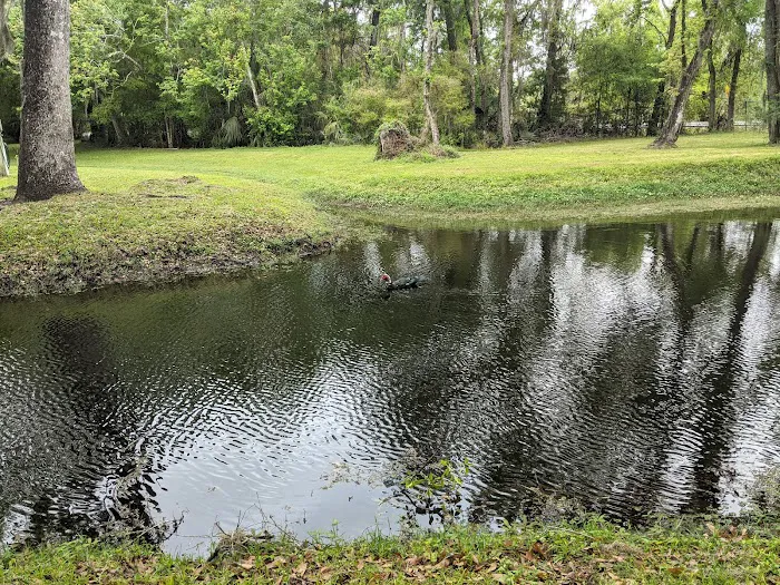 Clover Leaf Forest RV Resort Picture 3
